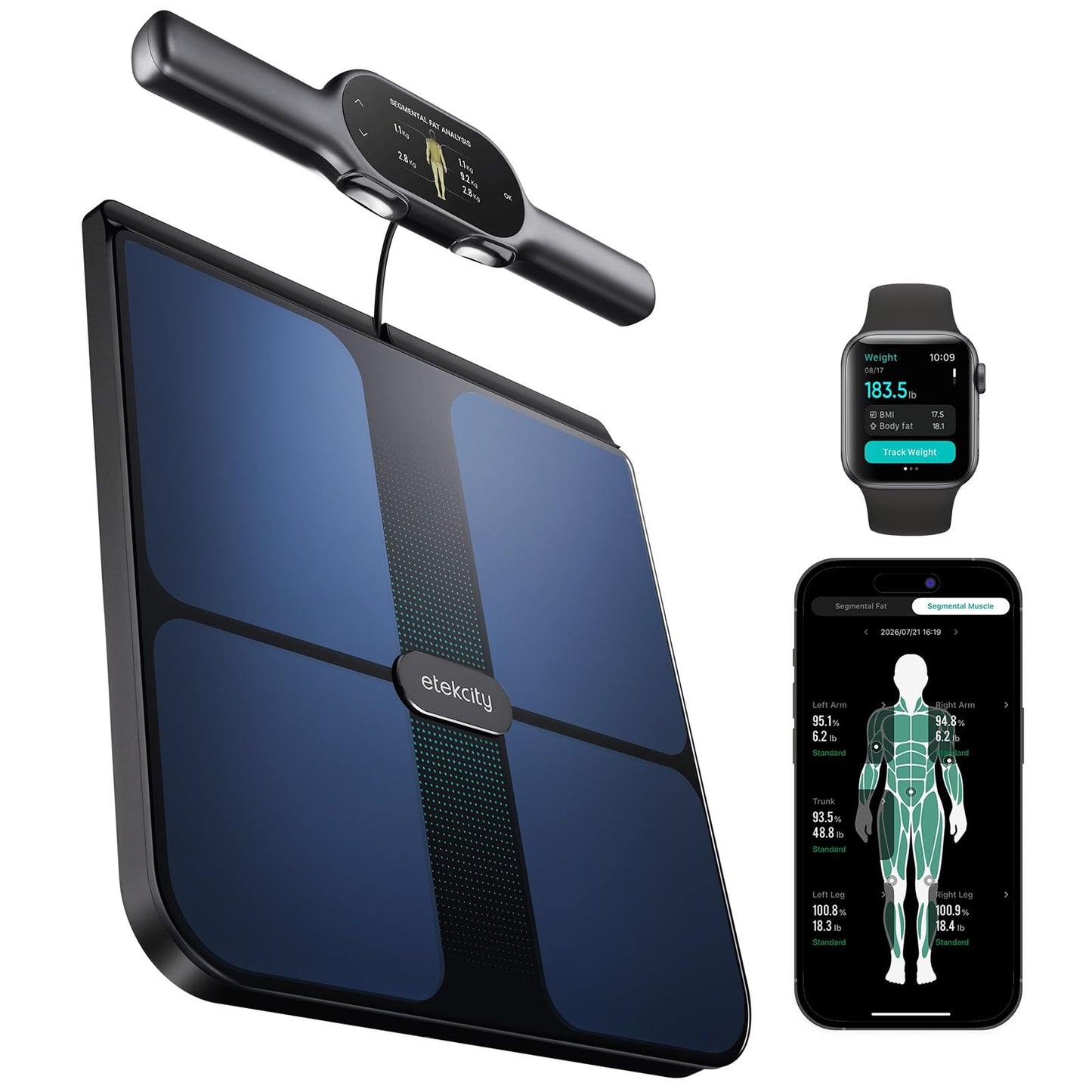 Etekcity Smart Scale for Body Weight, Body Fat and BMI, FSA Eligible | HSA Eligible, Bathroom Scale with Muscle Mass, Accurate Bluetooth App Sync, LED Display and Tempered Glass