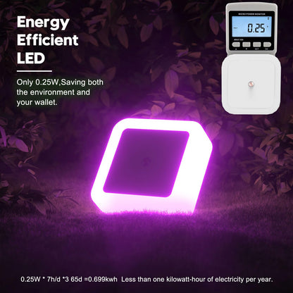 Sujeet Night Light, Night Lights Plug into Wall 8-Pack, Nightlight Plug in Night Light, Dusk to Dawn Night Lamp Led (Warm White)