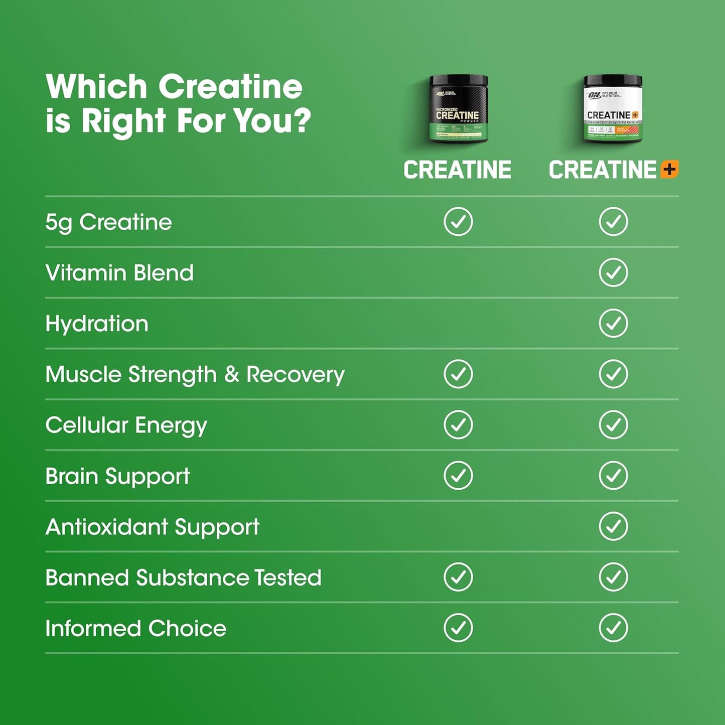 Optimum Nutrition Creatine, Micronized Creatine Monohydrate Powder, Supports Strength & Recovery, Banned Substance Tested, Unflavored, 5g per Serving, 60 Servings | 5g Micronized Creatine Monohydrate Powder Per Serving, Supports Muscle Strength & Power, E