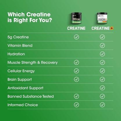 Optimum Nutrition Creatine, Micronized Creatine Monohydrate Powder, Supports Strength & Recovery, Banned Substance Tested, Unflavored, 5g per Serving, 60 Servings | 5g Micronized Creatine Monohydrate Powder Per Serving, Supports Muscle Strength & Power, E
