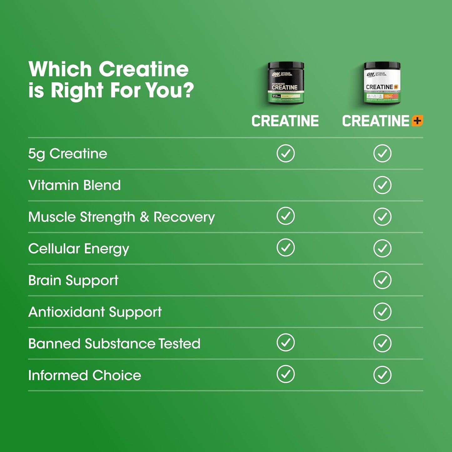 Optimum Nutrition Creatine, Micronized Creatine Monohydrate Powder, Supports Strength & Recovery, Banned Substance Tested, Unflavored, 5g per Serving, 60 Servings | 5g Micronized Creatine Monohydrate Powder Per Serving, Supports Muscle Strength & Power, E