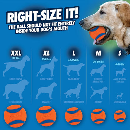 Chuckit! Ultra Ball Dog Toy, Durable Rubber, Medium 2.5-in, 2 Pack | Made from Durable Rubber with an Extra-Thick Core, This Bouncy Fetch Ball Floats in Water for Lasting Games of Fetch