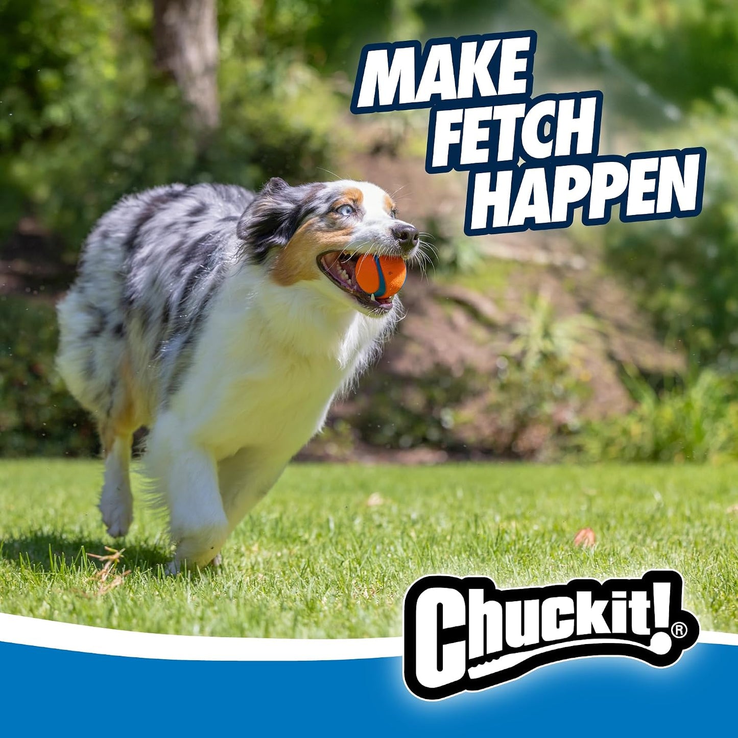 Chuckit! Ultra Ball Dog Toy, Durable Rubber, Medium 2.5-in, 2 Pack | Made from Durable Rubber with an Extra-Thick Core, This Bouncy Fetch Ball Floats in Water for Lasting Games of Fetch