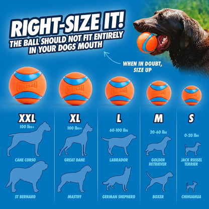 Chuckit! Ultra Ball Dog Toy, Durable Rubber, Medium 2.5-in, 2 Pack | Made from Durable Rubber with an Extra-Thick Core, This Bouncy Fetch Ball Floats in Water for Lasting Games of Fetch