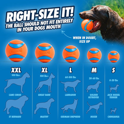 Chuckit! Ultra Ball Dog Toy, Durable Rubber, Medium 2.5-in, 2 Pack | Made from Durable Rubber with an Extra-Thick Core, This Bouncy Fetch Ball Floats in Water for Lasting Games of Fetch