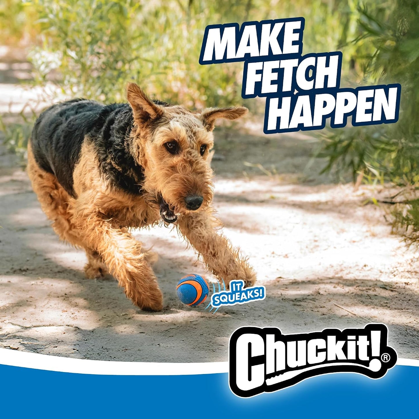 Chuckit! Ultra Ball Dog Toy, Durable Rubber, Medium 2.5-in, 2 Pack | Made from Durable Rubber with an Extra-Thick Core, This Bouncy Fetch Ball Floats in Water for Lasting Games of Fetch