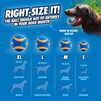 Chuckit! Ultra Ball Dog Toy, Durable Rubber, Medium 2.5-in, 2 Pack | Made from Durable Rubber with an Extra-Thick Core, This Bouncy Fetch Ball Floats in Water for Lasting Games of Fetch